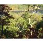 8235 Cox Mountain Drive, Jasper, GA 30143 ID:2687254
