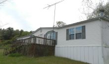 17601 Highway 690 Custer, KY 40115