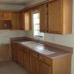1308 Golf Ave, Ormond Beach, FL 32174 ID:999962