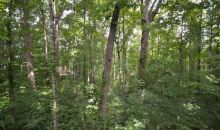 5191 Catalpa Knoll Acworth, GA 30101