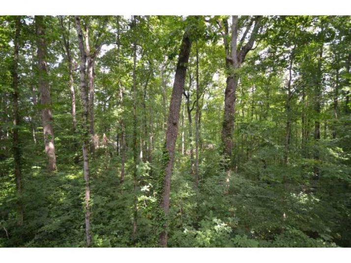 5191 Catalpa Knoll, Acworth, GA 30101