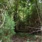 14538 Hwy 16 Ne, Monticello, GA 31064 ID:5731533