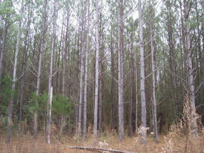 1 Seymour Road, Lavonia, GA 30553