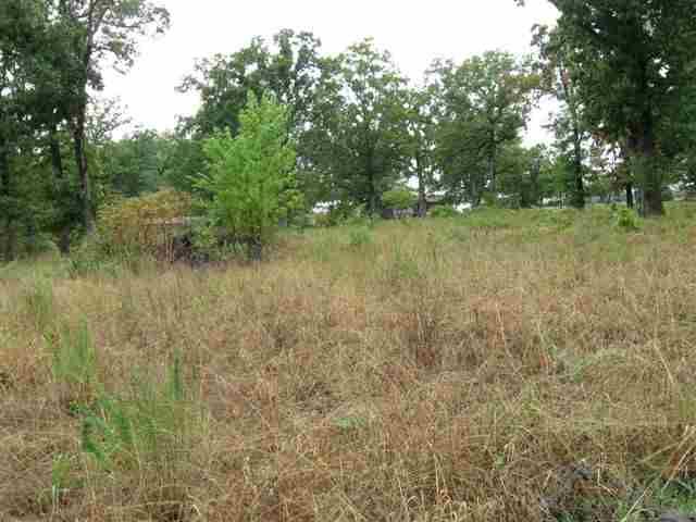 Tract 1 Or 2 Davey Lane Ln, Mountain Home, AR 72653