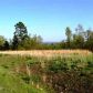 Lot 44 Swiss Alps Lane Ln, Mountain Home, AR 72653 ID:1165244