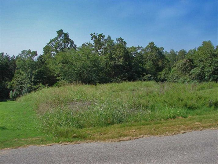 Lot 38 Ridgewood Drive Dr, Mountain Home, AR 72653