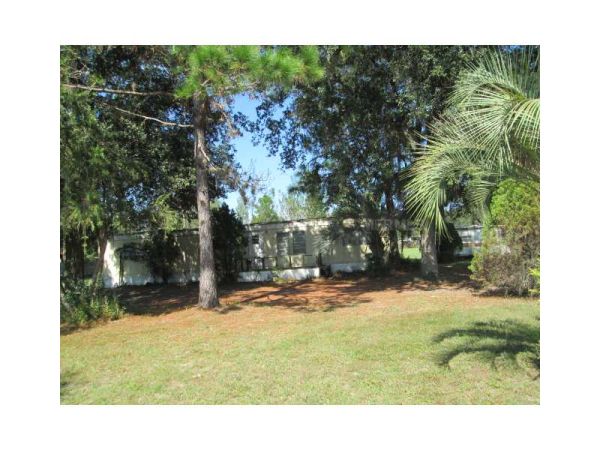 33425 ARTHUR DR, Wesley Chapel, FL 33543