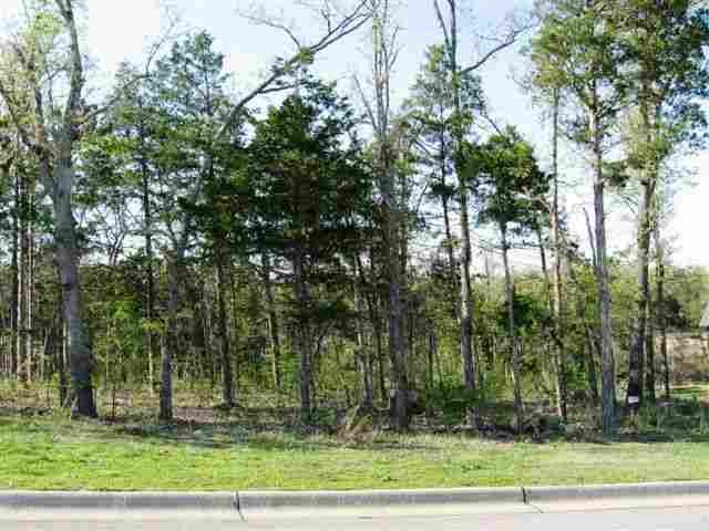 Lot 10 1st Street St, Mountain Home, AR 72653