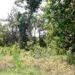 Lts 116-123 Lake Heights Drive, Mountain Home, AR 72653 ID:1165283