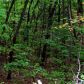 0 Turkey Trail, Jasper, GA 30143 ID:4287581