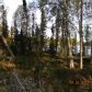 000 Eagle Lake Drive, Kenai, AK 99611 ID:1077044