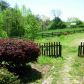87 Tolleffs Trail Trail, Dahlonega, GA 30533 ID:4529516