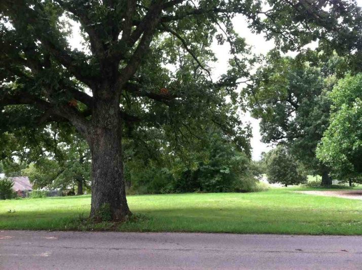 Lot 12 Russell Lane Ln, Mountain Home, AR 72653