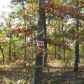 Lot 18 Rustic Ridge Drive Dr, Mountain Home, AR 72653 ID:1165397