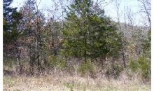 55 Valley Dr Eureka Springs, AR 72631