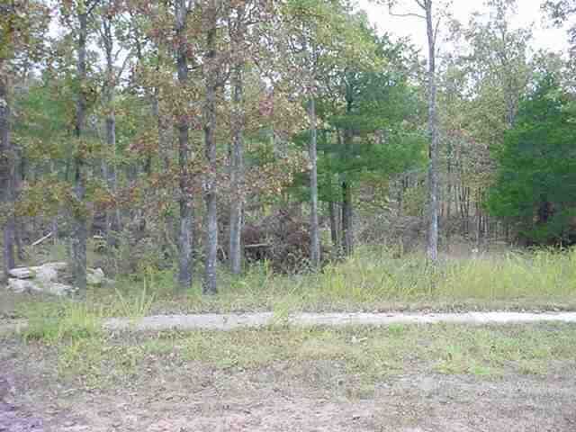 Lot 30 Spring Street St, Mountain Home, AR 72653