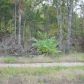 Lot 30 Spring Street St, Mountain Home, AR 72653 ID:1165358
