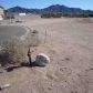 10878 S El Camino Del Diablo, Yuma, AZ 85367 ID:1287494