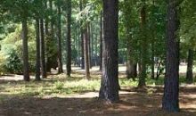 Highgate Dr- Lot 31 Greensboro, GA 30642