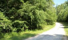 0 Celie Ann Seabolt Dahlonega, GA 30533