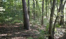 0 Lewis Grindle Road Dahlonega, GA 30533
