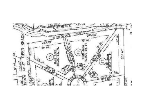 306 Carney Lane, Ball Ground, GA 30107