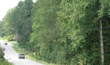 6242 Thompson Bridge Road Dahlonega, GA 30533
