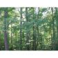 0 Orchard Ridge Trail, Jasper, GA 30143 ID:3134543
