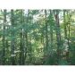 0 Orchard Ridge Trail, Jasper, GA 30143 ID:3134544