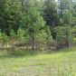 PR 2750, Lamar, AR 72846 ID:1155881
