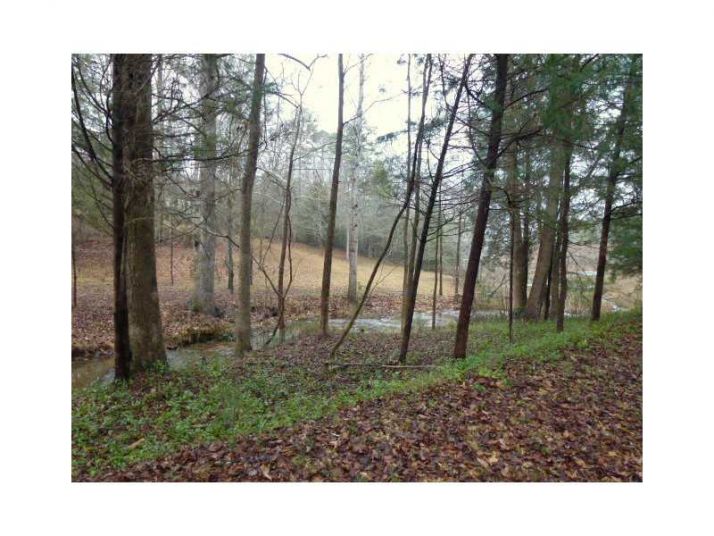 48 Park Place, Lavonia, GA 30553