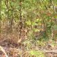 Lts 27,28,29 Robinson Loop, Mountain Home, AR 72653 ID:1165464