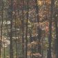 3115 Winding Lake Drive, Gainesville, GA 30504 ID:2985103
