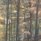 3115 Winding Lake Drive, Gainesville, GA 30504 ID:2985108