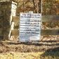 3115 Winding Lake Drive, Gainesville, GA 30504 ID:2985110