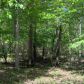 Marion County 8131, Flippin, AR 72634 ID:3327434