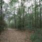 0 North River Road, Loxley, AL 36551 ID:2954844