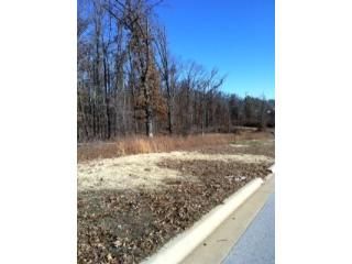 Lot 3 Kennedy Dr, Fayetteville, AR 72704