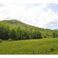 0 Owl Creek Road, Hiawassee, GA 30546 ID:2589733