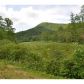 0 Owl Creek Road, Hiawassee, GA 30546 ID:2589738