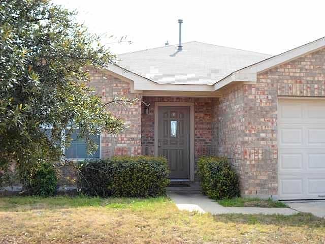 Aleppo Pine, Elgin, TX 78621