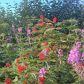 L15 B1 Pavillion Drive, Soldotna, AK 99669 ID:1384501