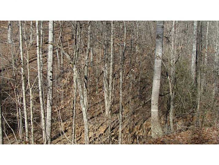 3 Myrtle Drive, Dahlonega, GA 30533