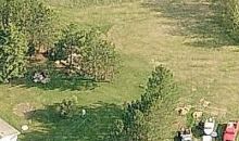 Salo Chisholm, MN 55719