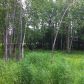 44850 Tranquil Avenue, Kenai, AK 99611 ID:1076962