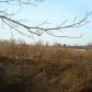 0 N Us Highway 441, Homer, GA 30547 ID:6134549