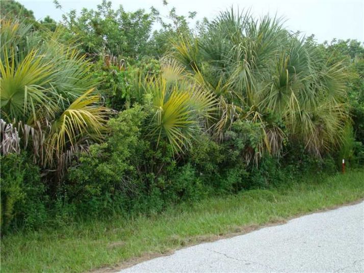 6994 Kaler St, Port Charlotte, FL 33981