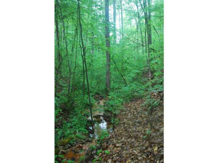 2212 Huntingdon Court, Gainesville, GA 30506