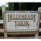 3340 Cedar Farms Court, Alpharetta, GA 30004 ID:2954209