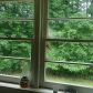 958 E Paulding Drive, Ball Ground, GA 30107 ID:1524981